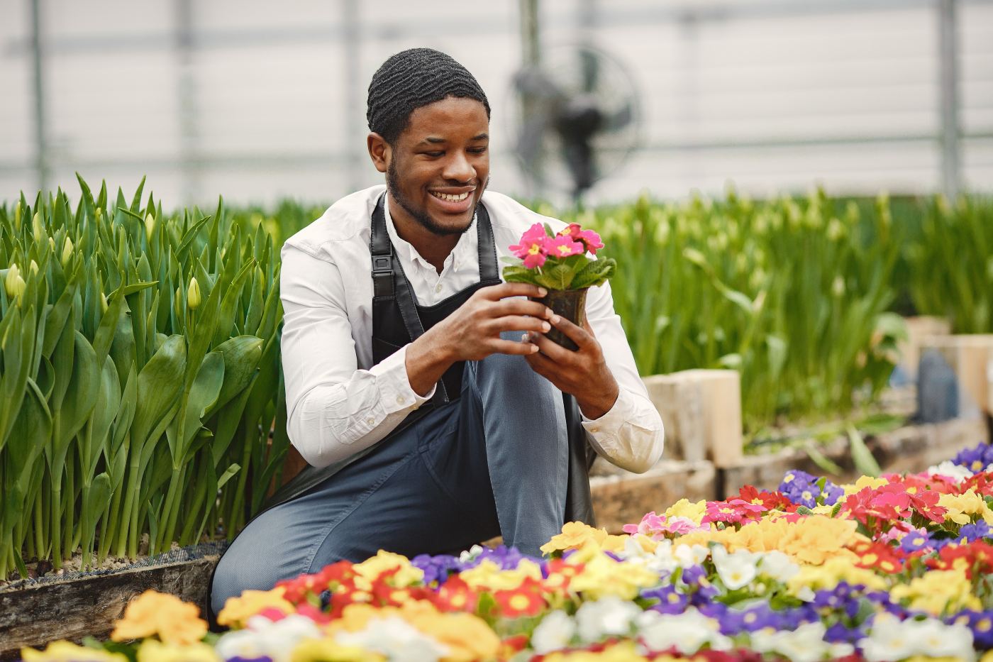 Floriculture operations in Kenya